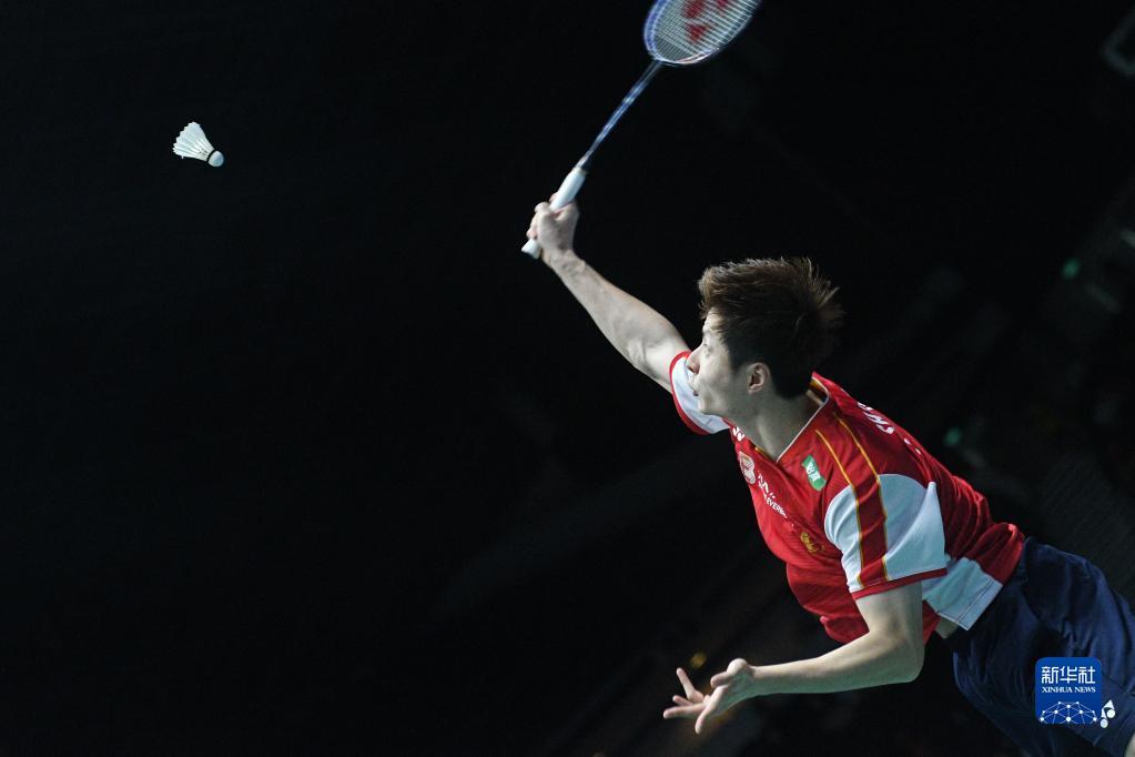 王楚钦在乒